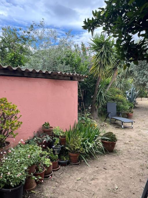 Maison De Village Vintage Avec Grand Jardin Elne Eksteriør billede