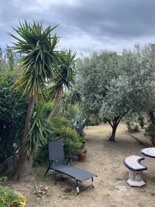 Maison De Village Vintage Avec Grand Jardin Elne Eksteriør billede
