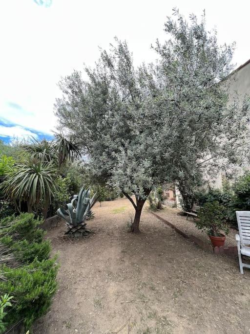 Maison De Village Vintage Avec Grand Jardin Elne Eksteriør billede